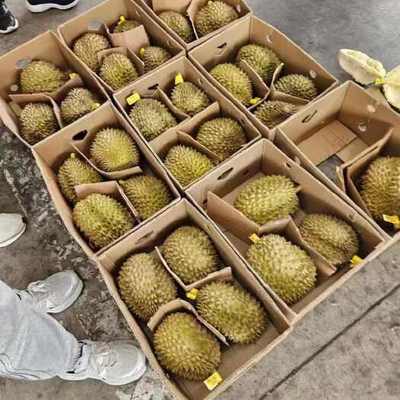 預(yù)包裝食品 4房肉以上榴蓮的供應(yīng)、價(jià)格與批發(fā)指南