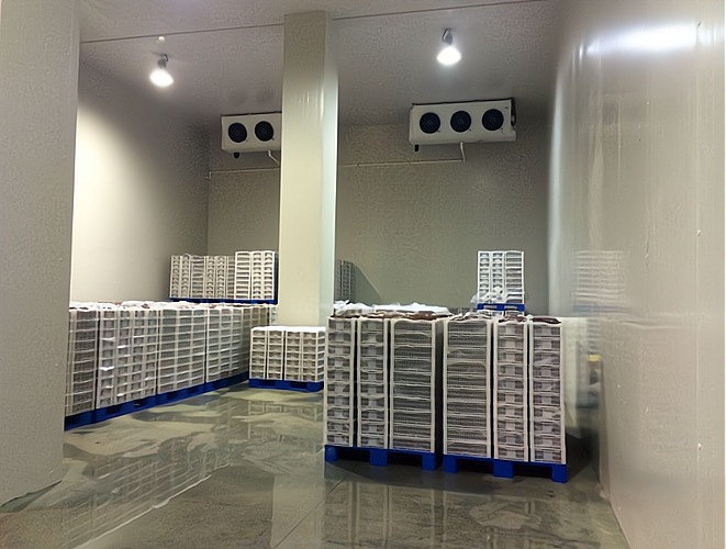 開一個(gè)雪糕批發(fā)冷庫 專業(yè)指導(dǎo)，創(chuàng)業(yè)無憂！預(yù)包裝食品批發(fā)策略