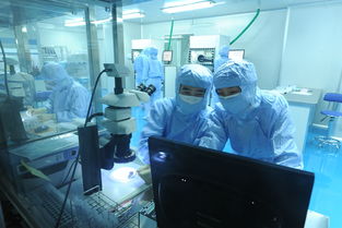 美迪西 分子生物學(xué)與生物技術(shù)開發(fā)服務(wù)，驅(qū)動創(chuàng)新藥物研發(fā)