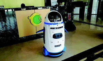 機(jī)器人保姆 既是最佳服務(wù)者，也是家庭開(kāi)心果